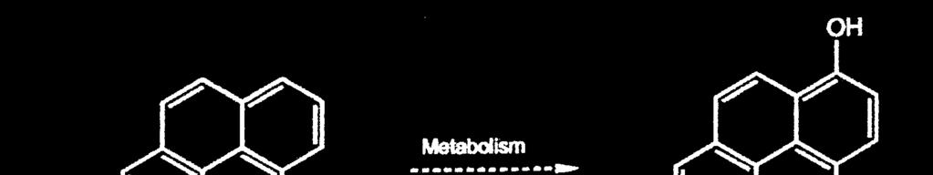 1 IDROSSIPIRENE URINARIO in FLUORIMETRIA - FAST Codice Z38110 BIOCHIMICA 1-HYDROXYPYRENE (1-OH-Pyr) è un prodotto del metabolismo del PYRENE, componente della famiglia degli Idrocarburi Policiclici