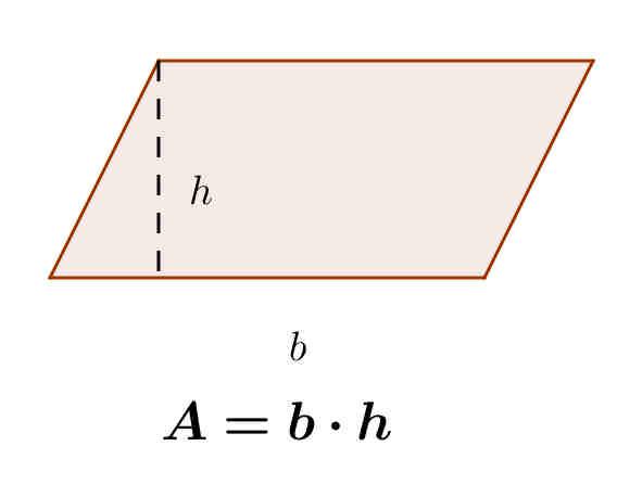 rettangolo l area di un parallelogramma è uguale al prodotto della lunghezza della base per la lunghezza