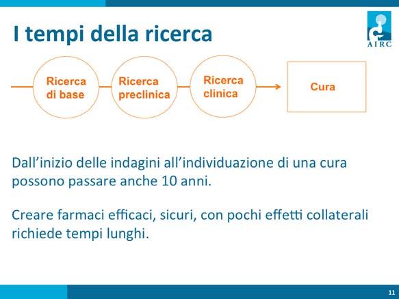 Dall inizio di uno studio preclinico al completamento della sperimentazione possono passare anche