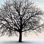 Isolare in tutte le stagioni: i plus del Sistema Isoventilato in Inverno in Estate Smaltisce l'umidità evita la formazione di