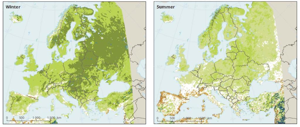 Variazioni percentuali nelle precipitazioni invernali ed estive in Europa