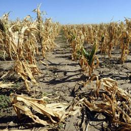 CAMBIAMENTI CLIMATICI OSSERVATI IN