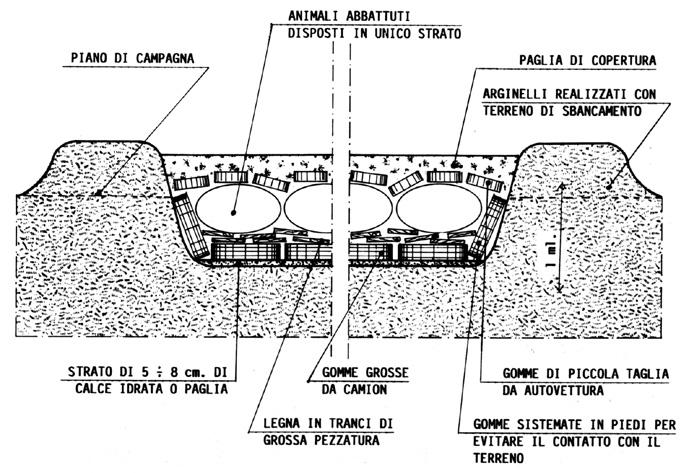 Figura 7.