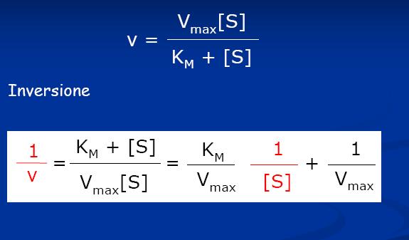 EQUAZIONE DI LINEWEAVER BURK O DIAGRAMMA DEI DOPPI RECIPROCI È il metodo