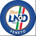 DELEGAZIONE PROVINCIALE DI BELLUNO 32100 BELLUNO Via Feltre, 244 Tel.: 0437 26880 - Fax: 0437 941916 e-mail: belluno@figc.