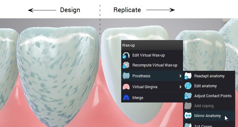 Ceratura Virtuale Anatomia Simmetrica Proprio come le anatomie naturali, le anatomie virtuali di una ceratura virtuale possono