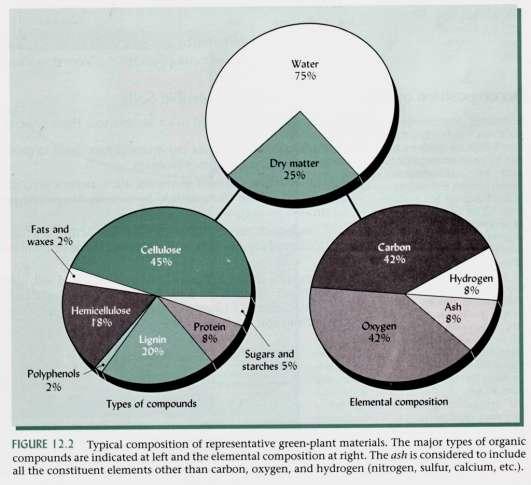 La lettiera I residui vegetali freschi contengono, mediamente, dal 60 al 90 % (p/p) di acqua.