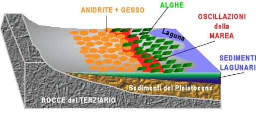 SABKHA Sono prodotti evaporitici che si formano in prossimità del livello medio dell alta marea lungo le piane costiere in regioni subtropicali.