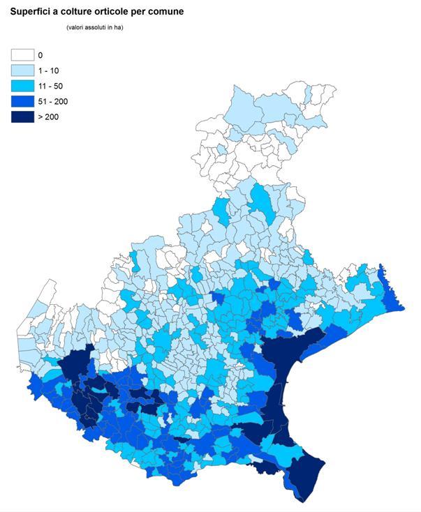 Distribuzione territoriale colture orticole TRE PRINCIPALI AREE PRODUTTIVE: Litorale veneziano Bassa veronese