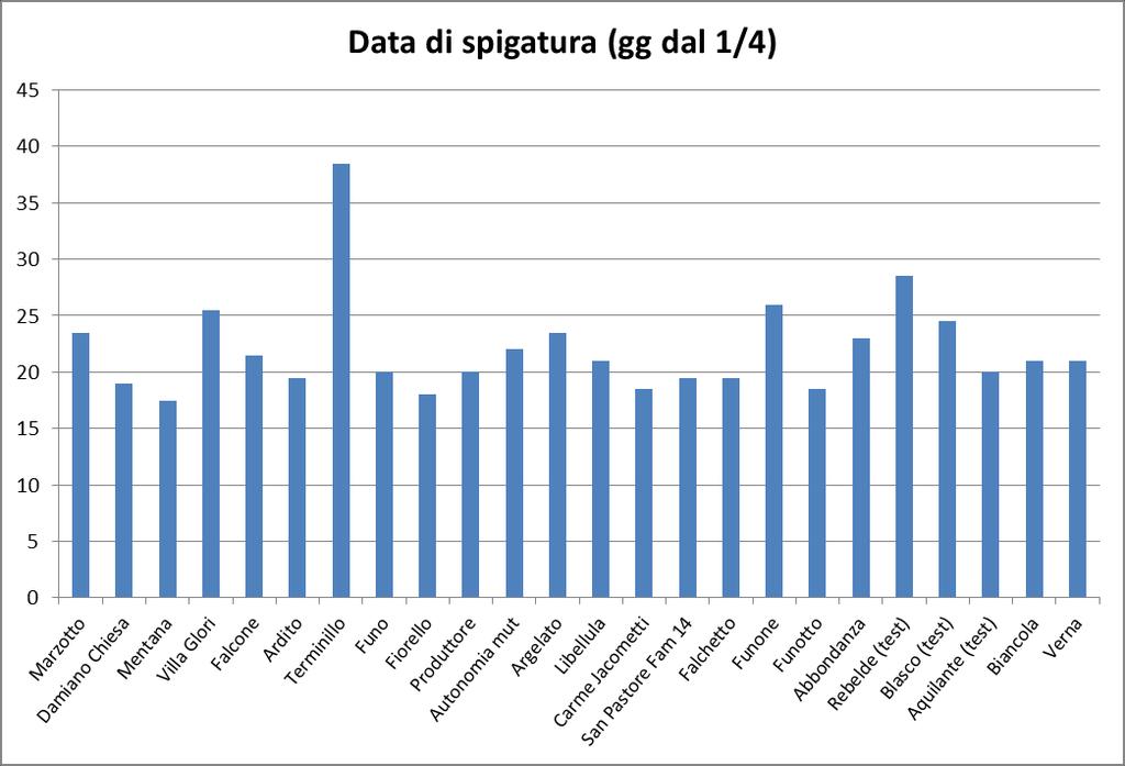 Prova panel varietà