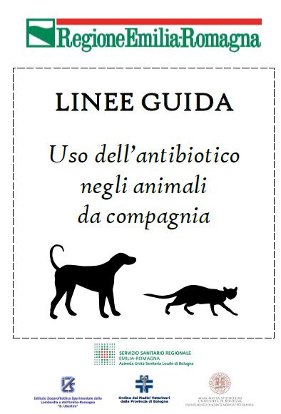 Linee Guida DPA e N-DPA Puntano principalmente l attenzione all importanza della corretta