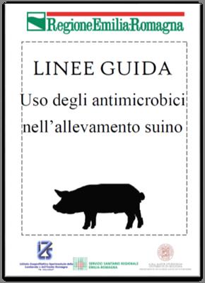 Si propongono come uno strumento pratico e dinamico Non saranno coercitive Ricche di esempi,