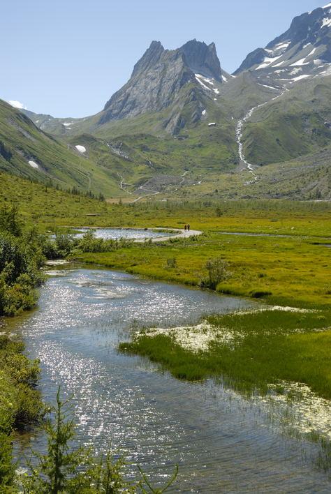 DESCRIZIONE BIOLOGICA Caratterizzazione ecologica delle acque dei corsi d acqua e delle zone umide della Val Ferret e della Val Veny (Prof. Guido Badino, Prof. Francesca Bona, Dip.