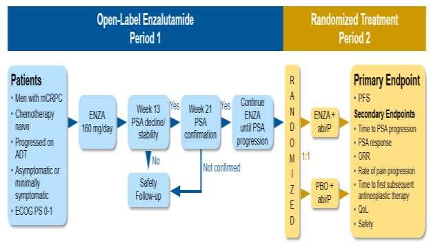 PLATO prospective trial Combination Group: ENZA + ABI/p Control