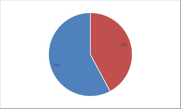 DATI GENERALI Mortale 205 Ferito 28 Totale complessivo M + F 486 Osservatorio