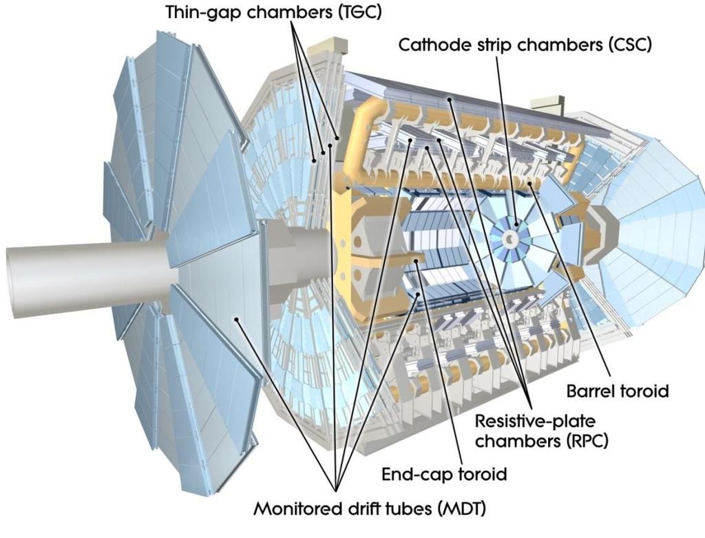 Lo spettrometro per muoni di ATLAS Magnete toroidale per misurare l impulso delle particelle Tracciamento effettuato tramite due tipologie di rivelatori di precisione: Monitored Drift Tubes(MDT)