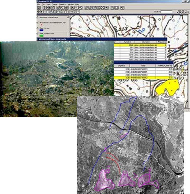 Gestione delle emergenze approccio di fusione multi-sensore mirato a determinare degli stimatori in grado di fornire indicazioni sulla presenza e sulla densità di Persistent Scatterers nell area di