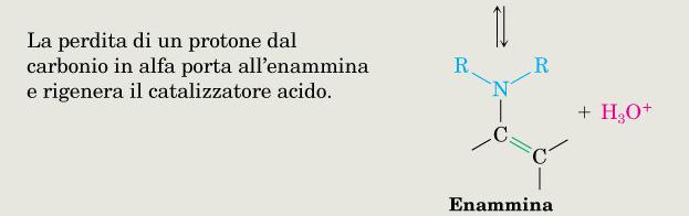 Reazione analoga all idratazione Gli alcoli sono