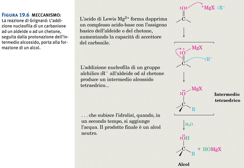 Addizione di nucleofili Favoriti quando Lo stesso meccanismo si applica ad altri tipi di reazione Le reazioni sono reversibili ma l equilibrio favorisce il composto carbonilico Formazione di alcoli