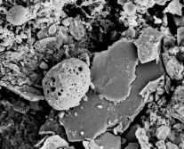 IL PARTICOLATO ATMOSFERICO Il particolato atmosferico è costituito da una enorme varietà di sostanze organiche