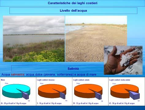 realizzare in aula utilizzando materiale biologico conservato (piante, materiale biologico, ecc.