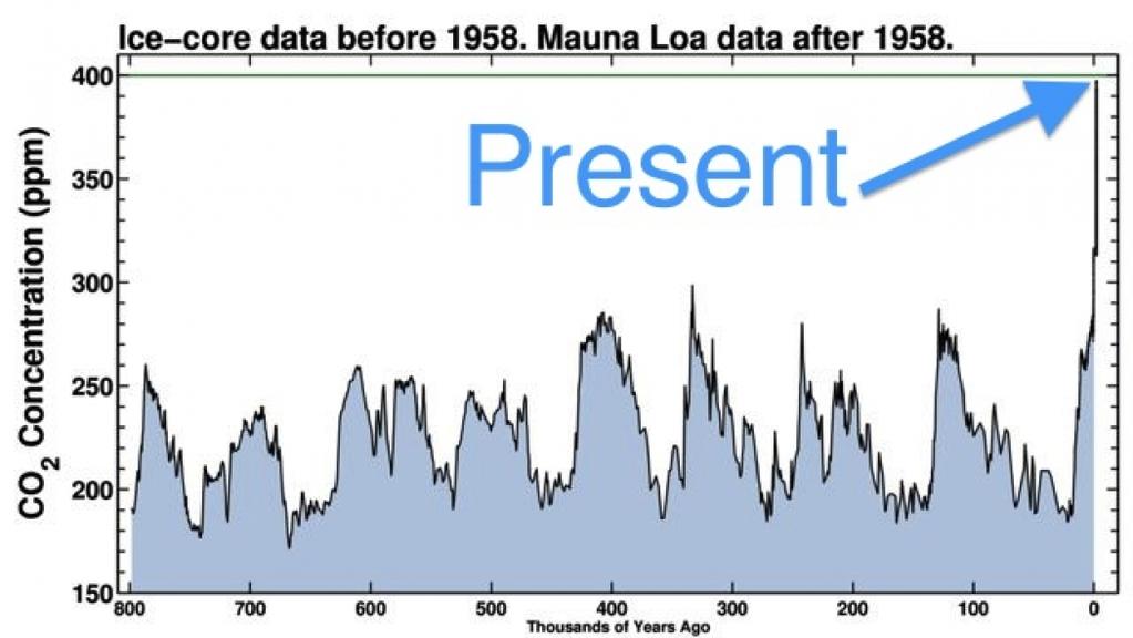 Nel corso di questo lungo periodo sono state osservate numerose oscillazioni della concentrazione di CO2 fra i 170 e 300 parti per milione (ppm).