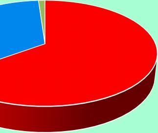 n ricordo n ho fatto accertamenti qualche volta 1,48% 3,32% 8,86% 9,23% assolutamente si 77,12% Alla domanda sulla