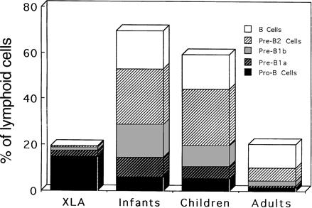 Frequenze relative di cellule ai diversi stadi di sviluppo B Nei bambini normali fra il 10% e il 25% delle cellule CD19+ del midollo sono rappresentate da linfociti prob mentre il 35-60% è