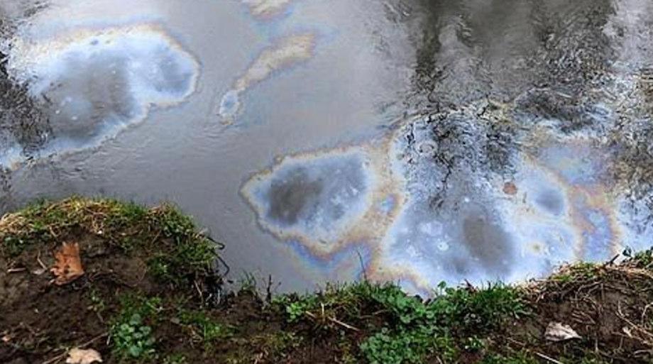 La contaminazione da petrolio è stata ridotta del 98,5% in 3 giorni La contaminazione dei metalli pesanti è ridotta di 99% in 2 giorni Riduzione dei