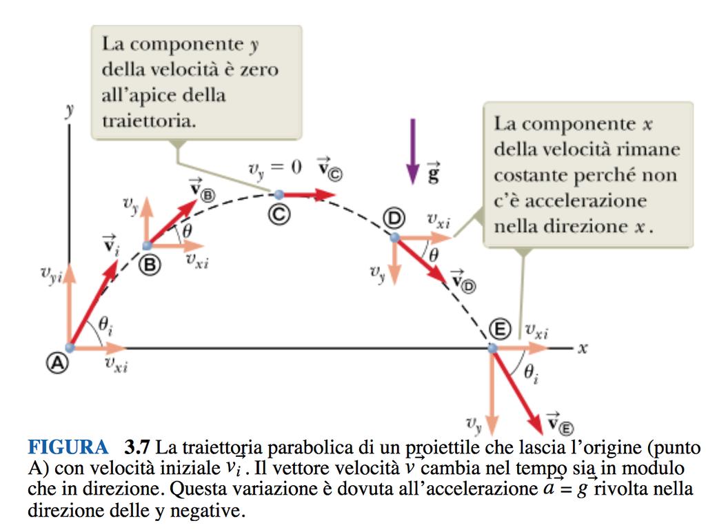 MOTO IN DUE DIMENSIONI: PROIETTILE proiettile: corpo lanciato con una velocità iniziale che