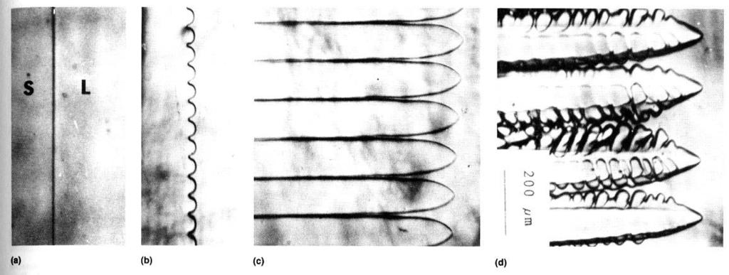 Fig.9- Struttura a terrazze (alto), struttura dendritica (basso). Fig.1 Sviluppo di una struttura dendritica partendo da un interfaccia S-L piana.