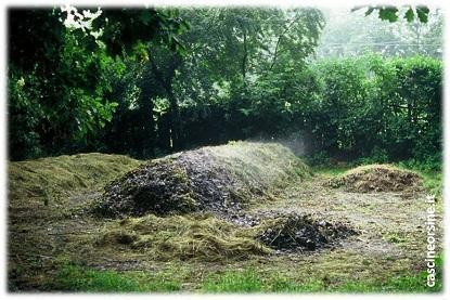 altre forme di compostaggio domestico; d) composter chiuso (in