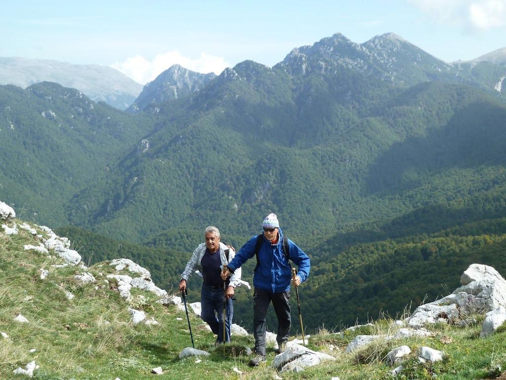 accesso per le auto (segnavia F2) che, oltrepassata la vicinissima ex Segheria di Opi (oggi Museo della Montagna e dell Uomo), lascia a destra il Tratturo Regio (TR, cartello).