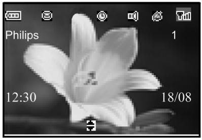 .3 Icone del display Indica che la batteria è caricata completamente. L'icona lampeggia durante la carica e quando la batteria si sta esaurendo. Indica che la batteria è completamente scarica.