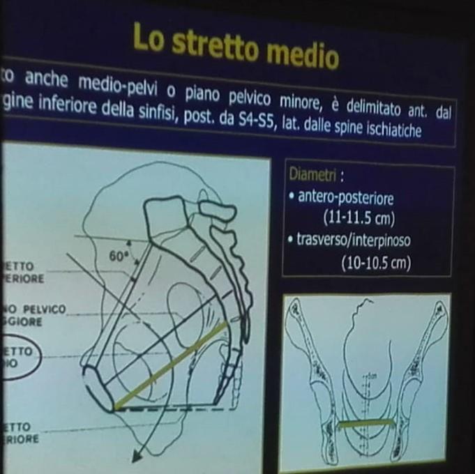 Lo stretto medio è il punto più ristretto del canale oltre ad essere il punto in cui vi è la curvatura di quasi 90.