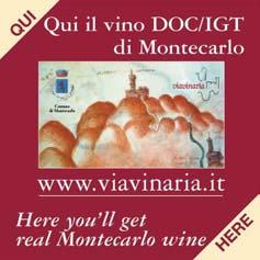 festa del vino di Montecarlo.