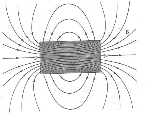 CAMPO MAGNETICO Non ci sono punti in cui vengono generate linee di campo non ci sono