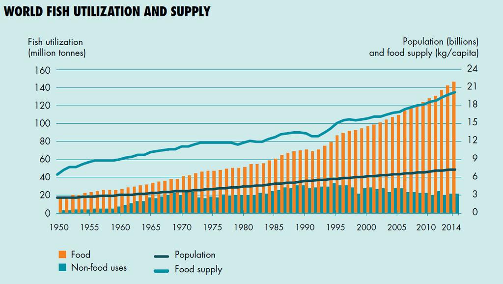 Disponibilità e consumo annuale di pescato DATA FROM FAO https://www.