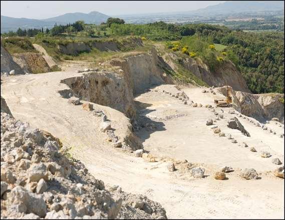 Il gesso Il gesso si forma a seguito dell evaporazione di acque marine dalla sedimentazione di sali come il salgemma, la calcite e l