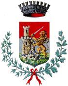 COMUNE DI OFFANENGO Provincia di Cremona VERBALE DI DELIBERAZIONE DEL CONSIGLIO COMUNALE N.