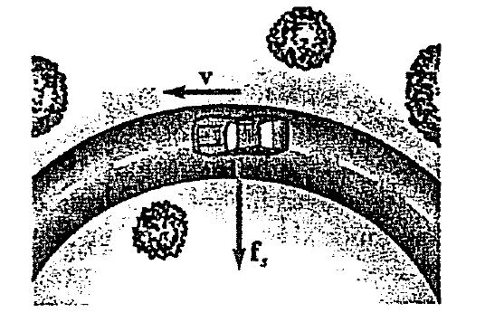 4. PROBLEMA Un auto di 1500 kg, che si muove su una strada orizzontale piana, affronta una curva di 35.0 m di raggio, come in figura.