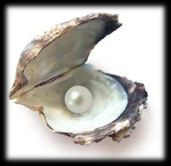 Età adulta, età matura e passagio del velo Trasformiamo la fragilità in perle di Saggezza Il granello di sabbia che entra nell ostrica crea una ferita Solo un