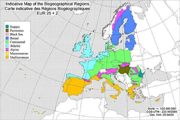 Figura 1.1 - Carta generale indicativa delle Regioni Biogeografiche (Fonte: www.
