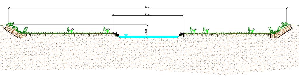 VALUTAZIONE DI IMPATTO AMBIENTALE SIA Studio di impatto ambientale o Soluzione di progetto Combinazione tra: Soluzione 2 (geometria canale) Soluzione 3b (argini e difese) progettuale risagomatura