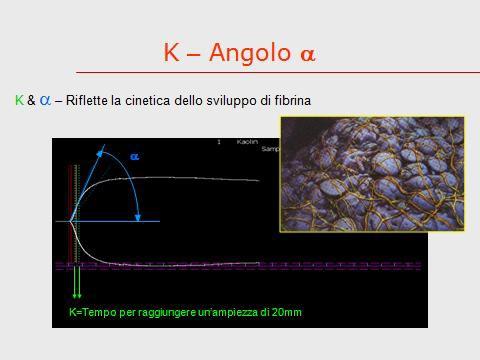 2. K. (clot formation time): graficamente è il tratto che va dal punto in cui si ha la formazione della fibrina sino a quello in cui l ampiezza del TEG raggiunge i 20mm; rappresenta la formazione del