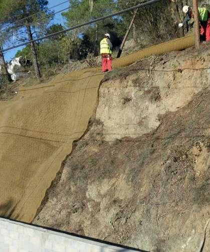 L area, essendo facilmente accessibile dalla strada, potrà essere così facilmente mantenuta.