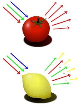 LA PERCEZIONE DEL COLORE Due tasti di pianoforte suonati contemporaneamente creano due suoni che mantengono la loro individualità pur creando effetti di armonia: non si ha una nota dominante