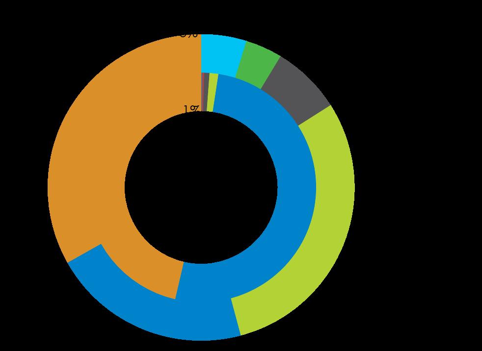 L utilizzo dell energia primaria nei MENA 15 Mondo I paesi MENA si caratterizzano