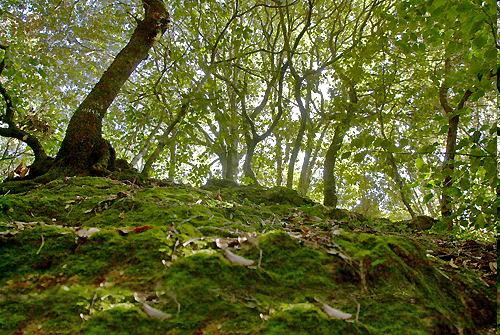 naturali e culturali