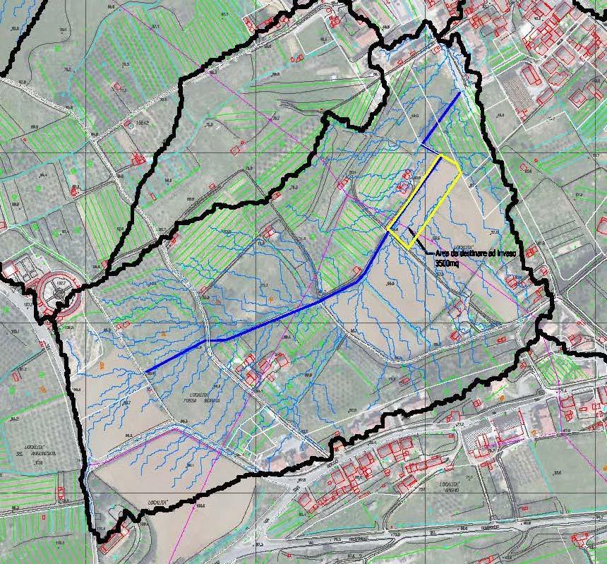 La seconda area, di superficie pari a 1400 mq, richiede qualche accortezza in più in fase di progettazione esecutiva.